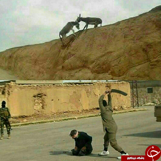 جنجالی&zwnj;ترین عکس روز دنیا