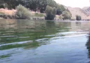 نمایی از رودخانه فوق‌العاده زیبای زاینده‌رود + فیلم