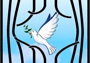 باکمک خیریزدی زمینه آزادی سه زندانی فراهم شد