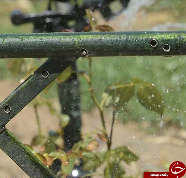 محل برخورد ترکشهای بمب انتحاری حرم امام خمینی +عکس محل برخورد ترکشهای بمب انتحاری حرم امام خمینی +عکس