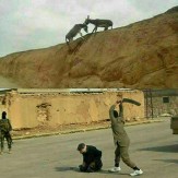 باشگاه خبرنگاران -جنجالی‌ترین عکس روز دنیا