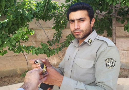 دستگیری متخلف زیست محیطی سابقه دار در شهرستان دلفان