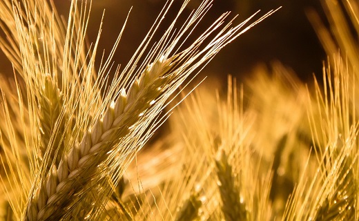 نگاهی به پر بیننده ترین اخبار روز گذشته در سمنان