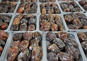 افزایش صادرات خرما از هرمزگان