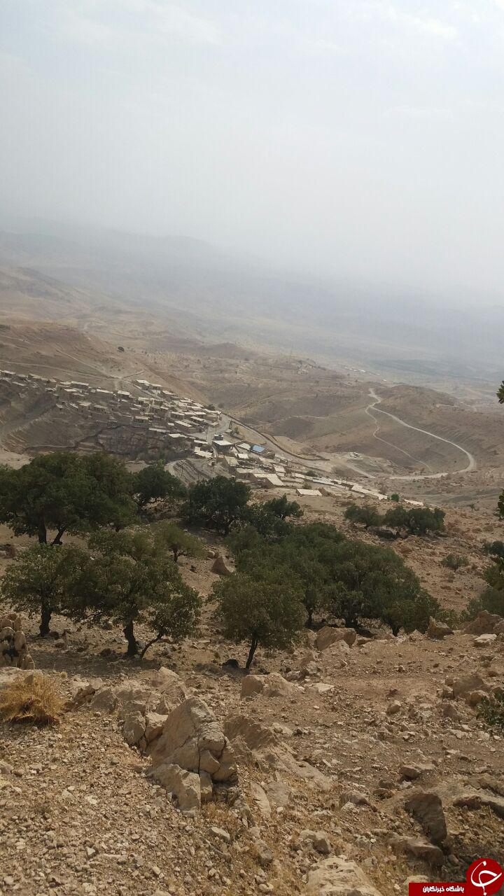طبیعت زیبا و سرسبز &laquo;بناری علیا&raquo; + تصاویر