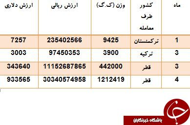 صادرات یک هزار تنی موز به ترکیه و قطر