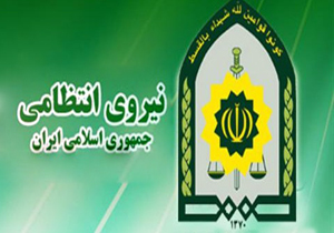 دستگیری ۱۱ سارق در استان چهارمحال و بختیاری