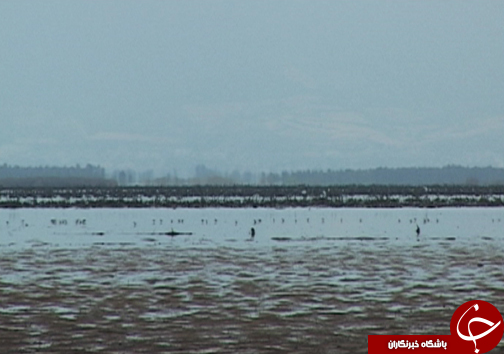 دریچه ای ناشناخته از گردشگری مازندران به روی مسافران دریچه ای ناشناخته از گردشگری مازندران به روی مسافران