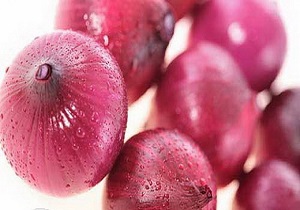 برداشت پیاز از مزارع شهرستان کرمانشاه آغاز شد