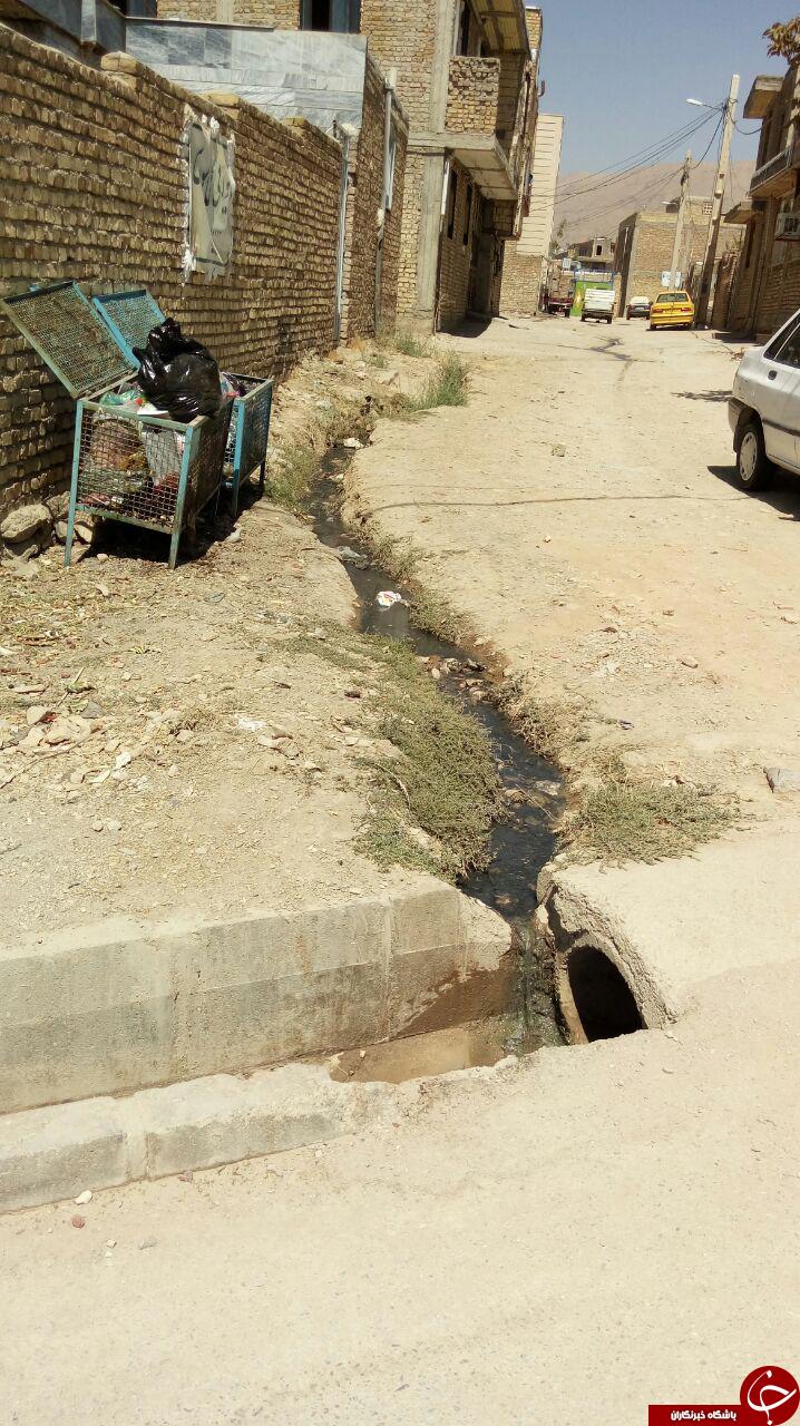 بهداشت اسفناک معابر در نهاوند + تصاویر