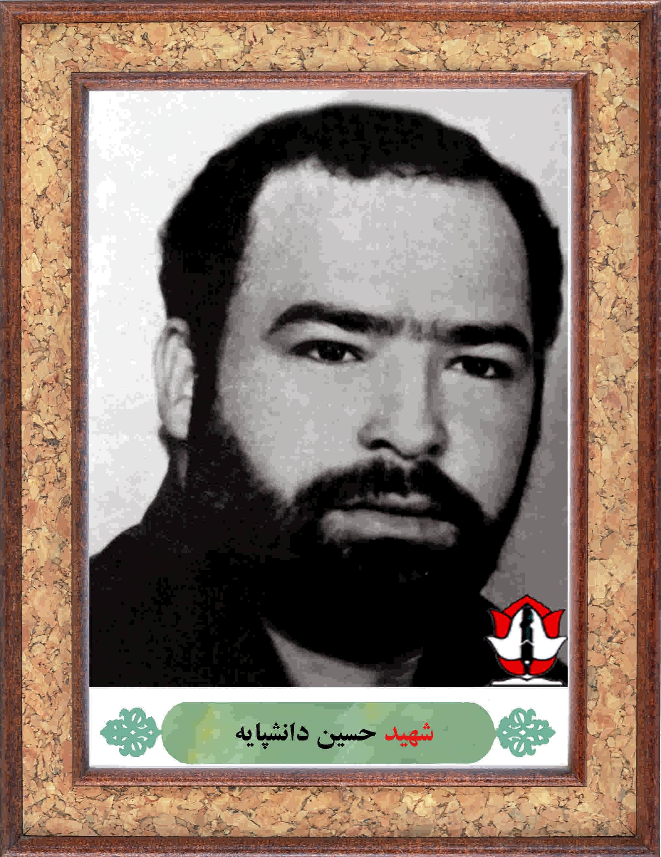 زندگی نامه شهید دانشپایه