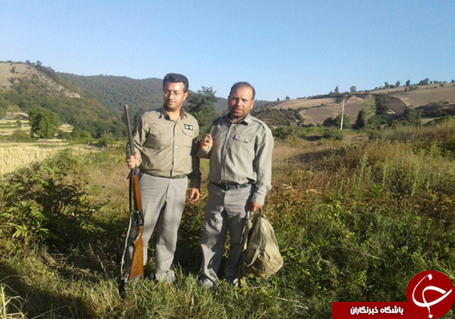 دستگیری شکارچیان غیر مجاز در مازندران