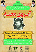 کاشانی ها با یاد سردار شهید پکوک آبروی محله می گیرند
