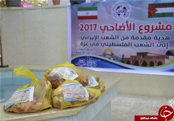 آتش به اختیاری جوانان ایرانی از یمن تا فلسطین/ توزیع گوشت قربانی بین محاصره شدگان صنعا و غزه+عکس