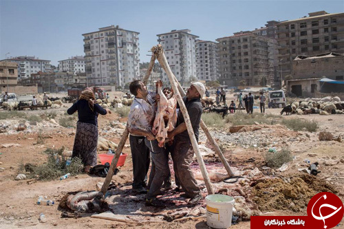 تصاویر هفته: از آغاز مناسک حج در مکه مکرمه تا سیل ویرانگر هیوستن