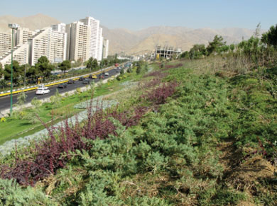 باایجاد کمربند سبز جانی دوباره به شهرمان بدهیم