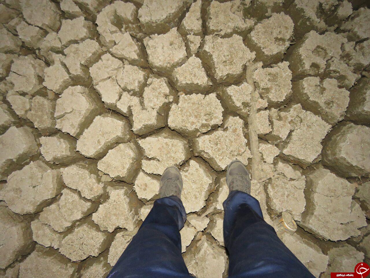 صحنه ای اسفبار از سد برنجستانک + تصاویر
