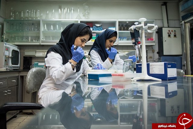 وقتی مگس به کمک شناسایی اجساد می&zwnj;آید