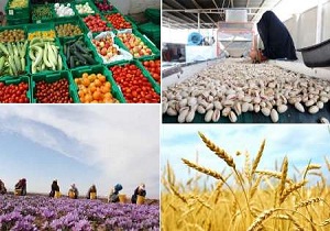 بررسی مشکلات واحد های تولیدی بخش کشاورزی استان سمنان