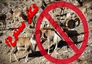 دستگیری شکارچی غیر مجاز در سفیدکوه