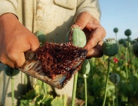 استراتژی منطقه ای مبارزه علیه مواد مخدر تدوین می شود