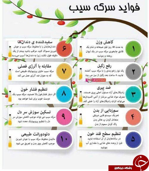با خواص معجزه آسای سرکه سیب آشنا شوید!+اینفوگرافیک
