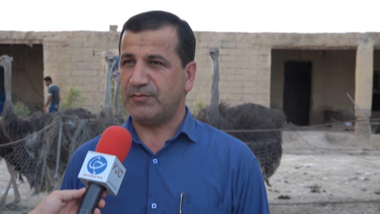 پرداخت تسهیلات جدید اشتغال به جوانان دهلرانی