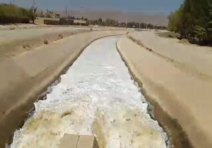 آلودگی آب و مرگ ماهیان در زاینده‌رود + فیلم