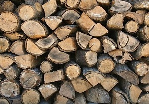 کشف الوار جنگلی قاچاق در شهرستان نیر