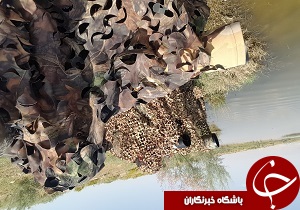 برپایی نمایشگاه عکس حیات وحش