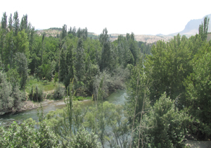 تداوم جوی پایدار در چهارمحال و بختیاری