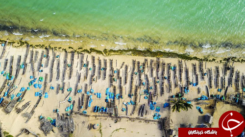 تصاویر روز: از برندگان مسابقه ریش و سبیل تا شلیک موشک بالستیک در رزمایش کره جنوبی تصاویر روز: از برندگان مسابقه ریش و سبیل تا شلیک موشک بالستیک در رزمایش کره جنوبی
