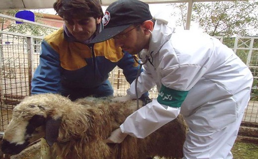 نگاهی به پر بیننده ترین اخبار روز گذشته در سمنان