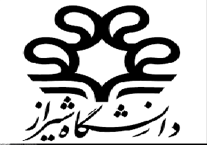 آمادگی تیم بانوان هندبال لارستان برای شرکت در مسابقات آسیایی