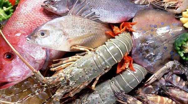 نرخ فروش انواع ماهی و میگو در میادین میوه و تره بار