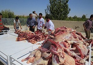 جمع&zwnj;آوری ۲۲ میلیارد ریالی نذورات عید قربان در سیستان و بلوچستان