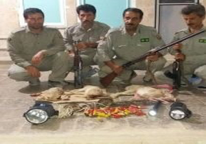 دستگیری  شکار چیان غیر مجاز خرگوش در سفید کوه خرم آباد