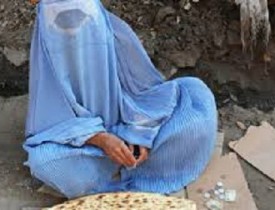 گدایان در شهر هرات به یک چالش جدی مبدل شده&zwnj;اند