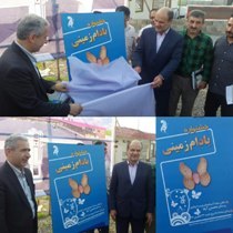 درآمد میلیاردی کشاورزان آستانه ای از بادام زمینی