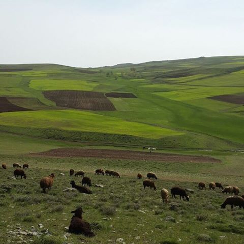 نام باستانی اردبیل چه بود؟