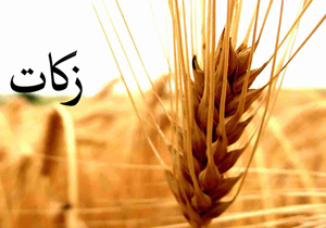 پرداخت ۳۲ میلیارد ریال زکات در چهارمحال و بختیاری