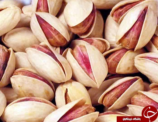 رتبه سوم استان یزد در تولید پسته در کشور +تصویر