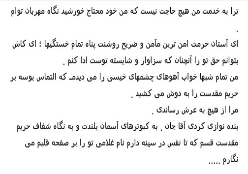 قهرمانان جهان، خادمان حرم امام رضا(ع)+ تصویر