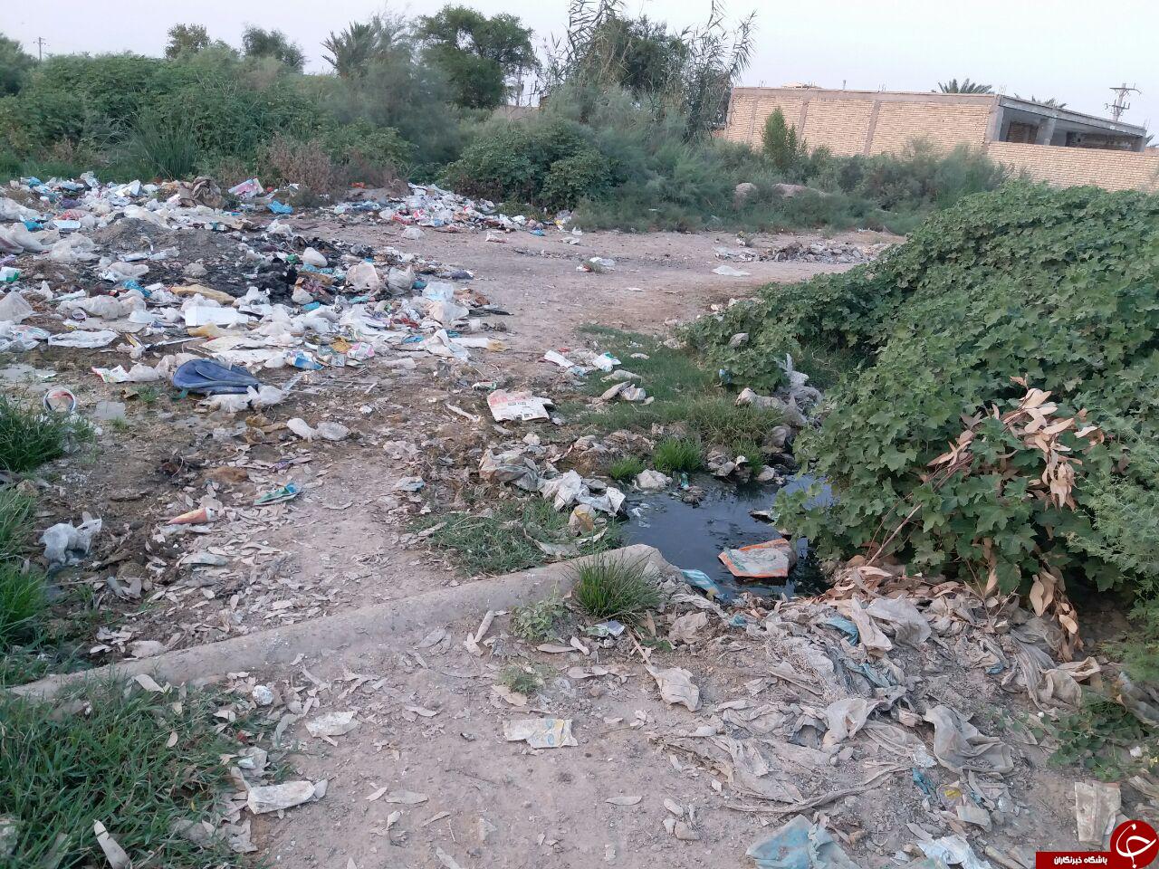 دپوی زباله در خیابان های بنادر + تصاویر