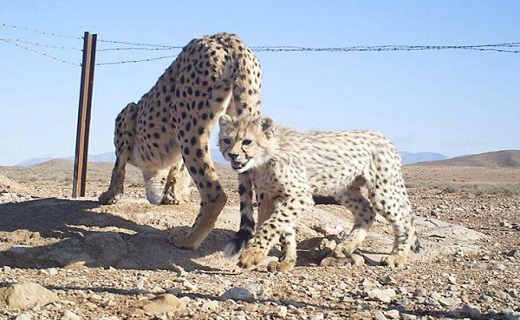 سرخط جذاب ترین خبرهای این هفته استان سمنان