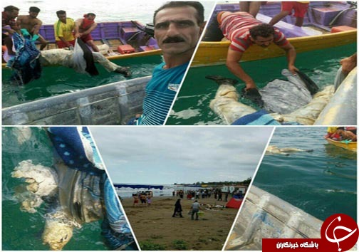 کشف جسد مجهول الهویه در نکا + تصویر