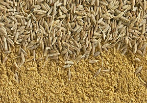 کشت 10 هکتار زیره سبز در هرسین