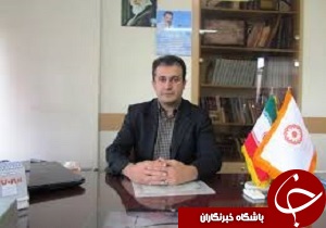 جمع آوری بیش از یک تن گوشت قربانی