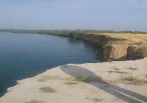 تخریب مزارع کشاورزی در «حاج مرتضی» + فیلم