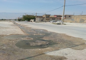 فاجعه اسفبار زیست محیطی + فیلم